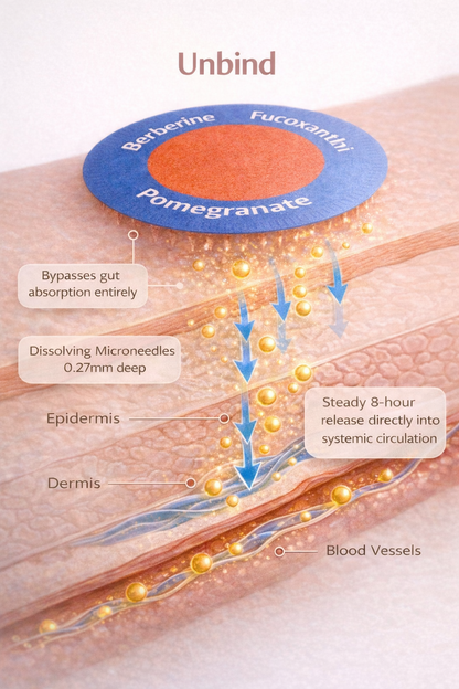Unbind Release The Berberine Patch Built For PCOS Bodies